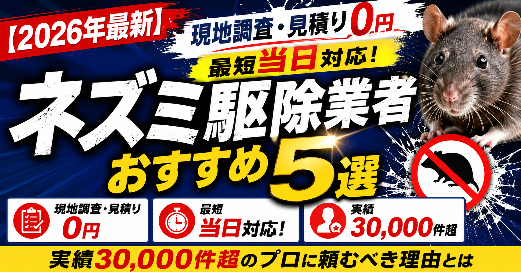 【2026年最新】現地調査・見積り0円・最短当日対応!ネズミ駆除業者おすすめ5選|実績30,000件超のプロに頼むべき理由とは